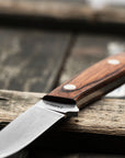 Outdoorový nůž Hattori Amago Cocobolo AUS-8 Outdoor 6,5 cm