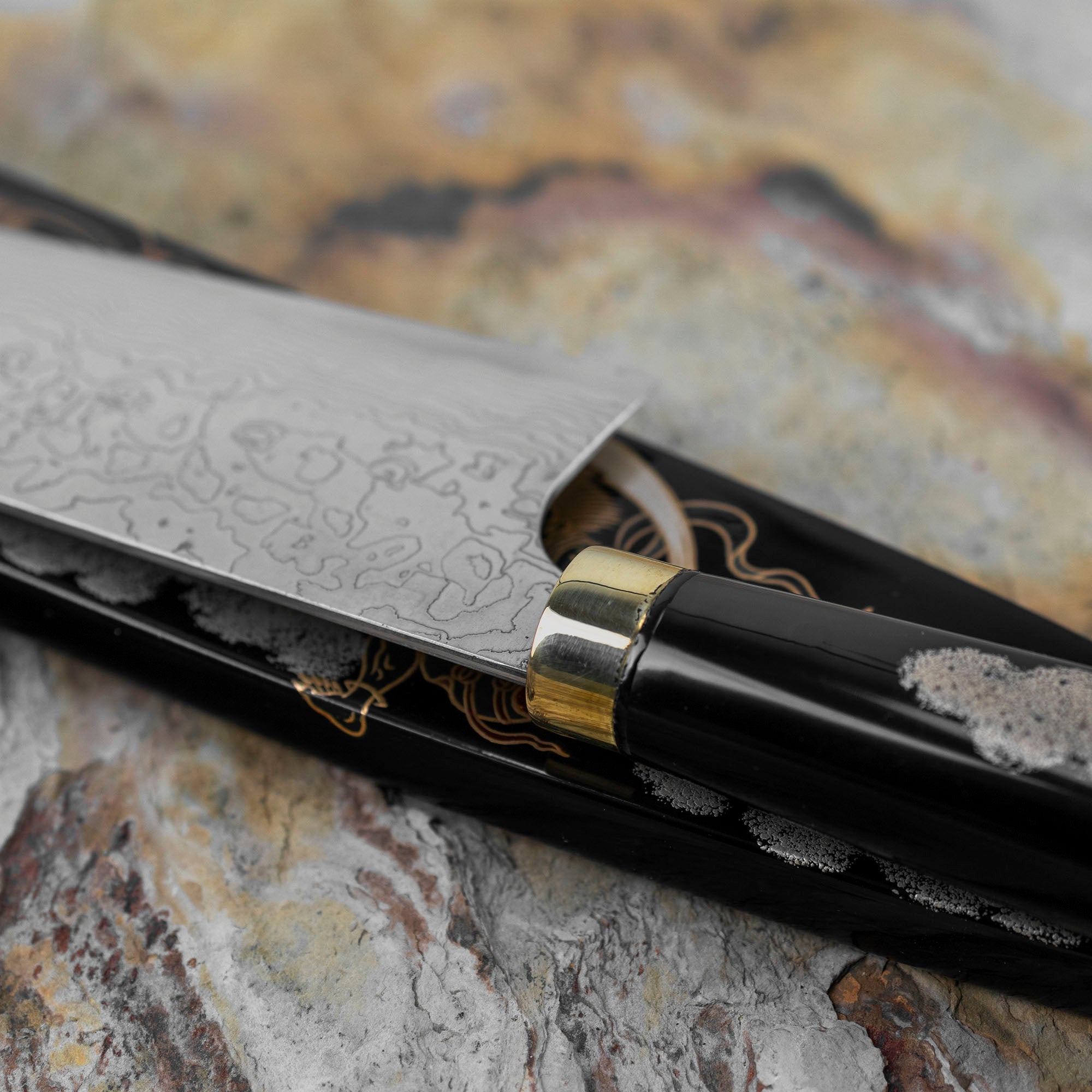 Nůž šéfkuchařský 21 cm Takeshi Saji Art Fujin Raijin R-2 + Saya