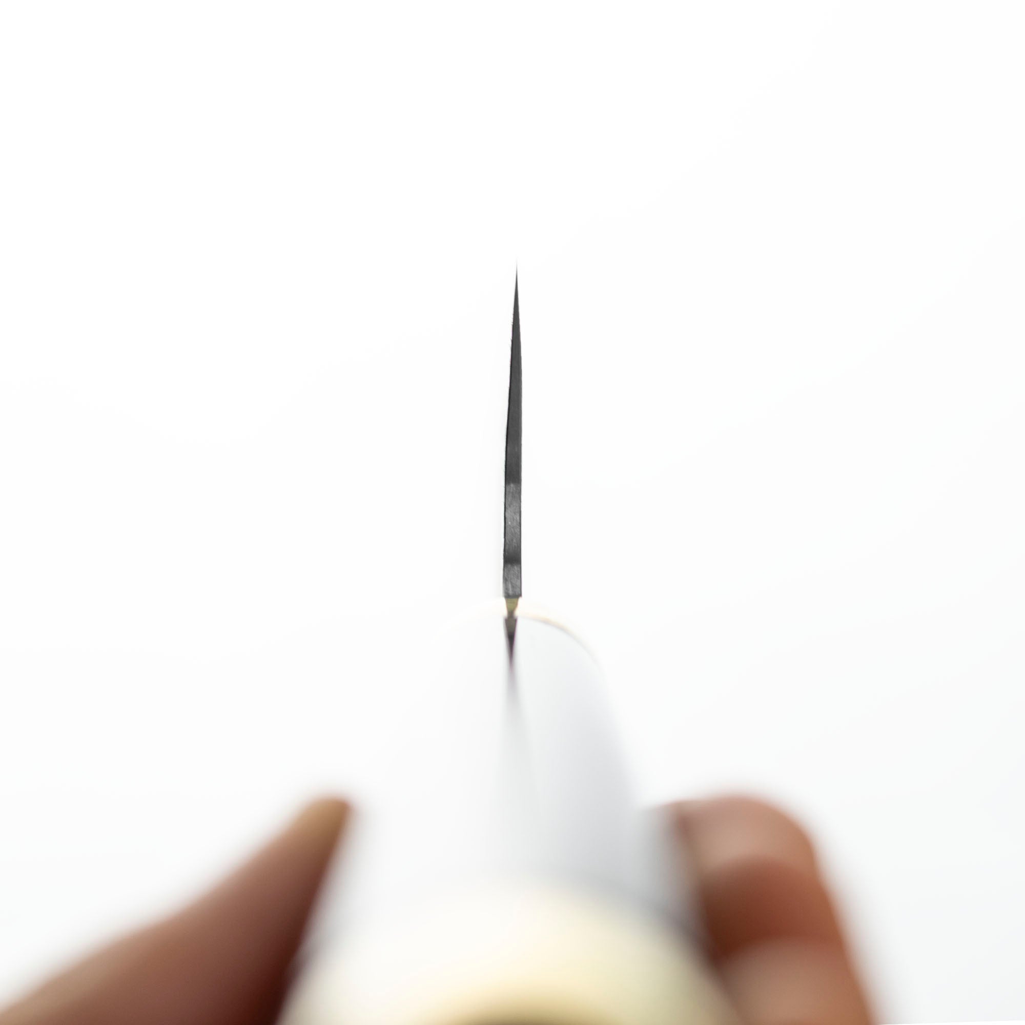 Nůž šéfkuchařský 21 cm Takeshi Saji Art Fujin Raijin R-2 + Saya