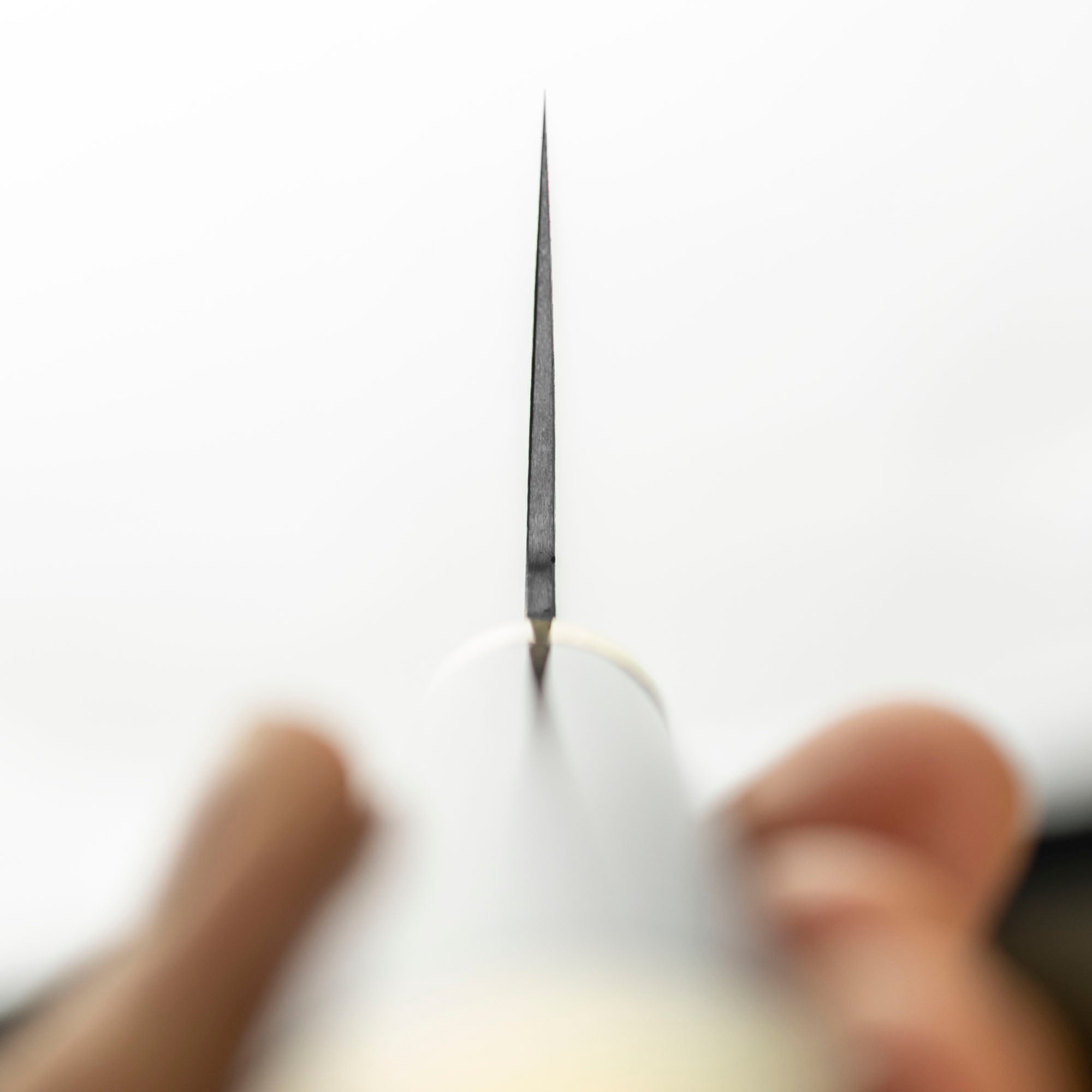 Nůž Nakiri 17 cm Takeshi Saji Art Fujin Raijin R-2 + Saya