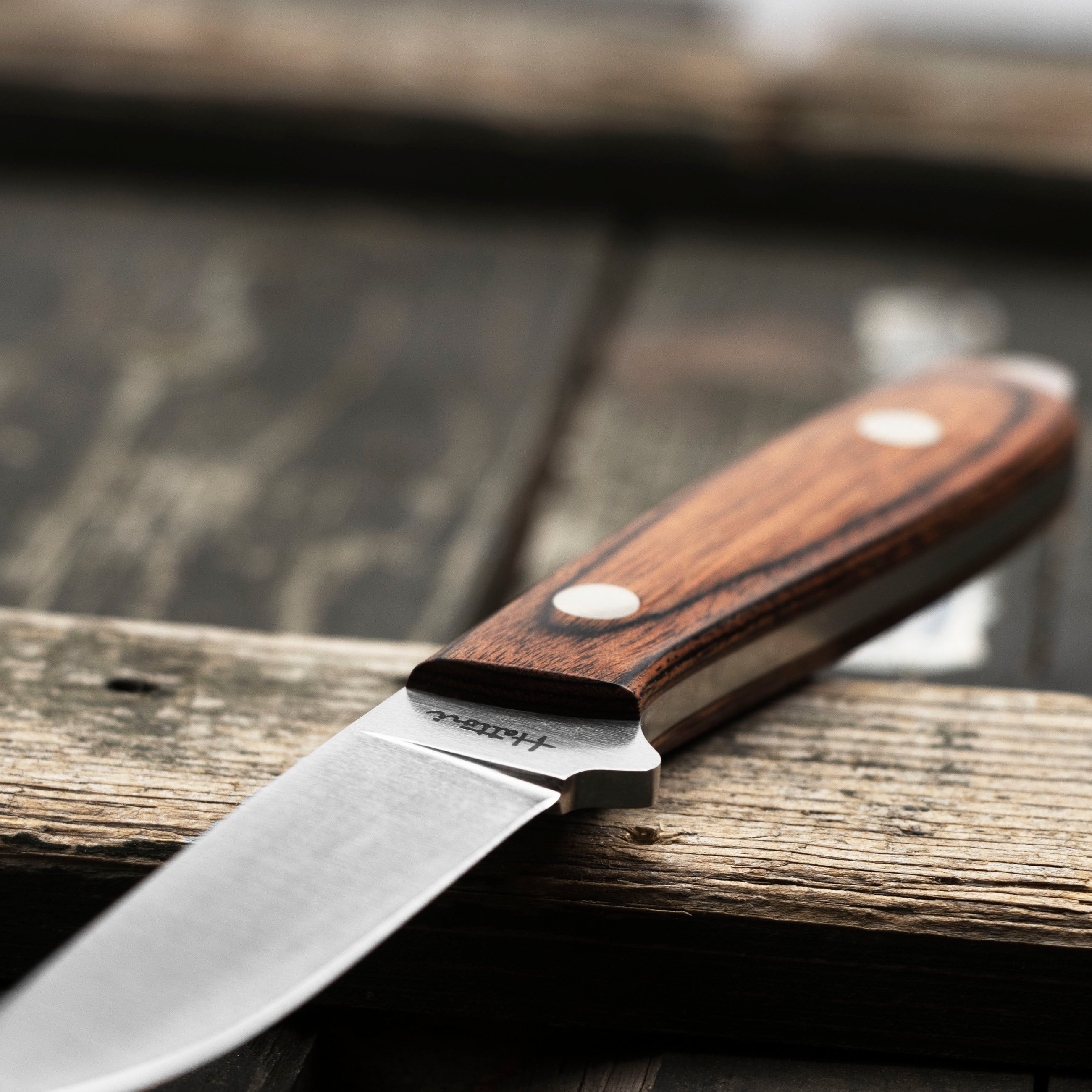 Outdoorový nůž Hattori Amago Cocobolo AUS-8 Outdoor 6,5 cm