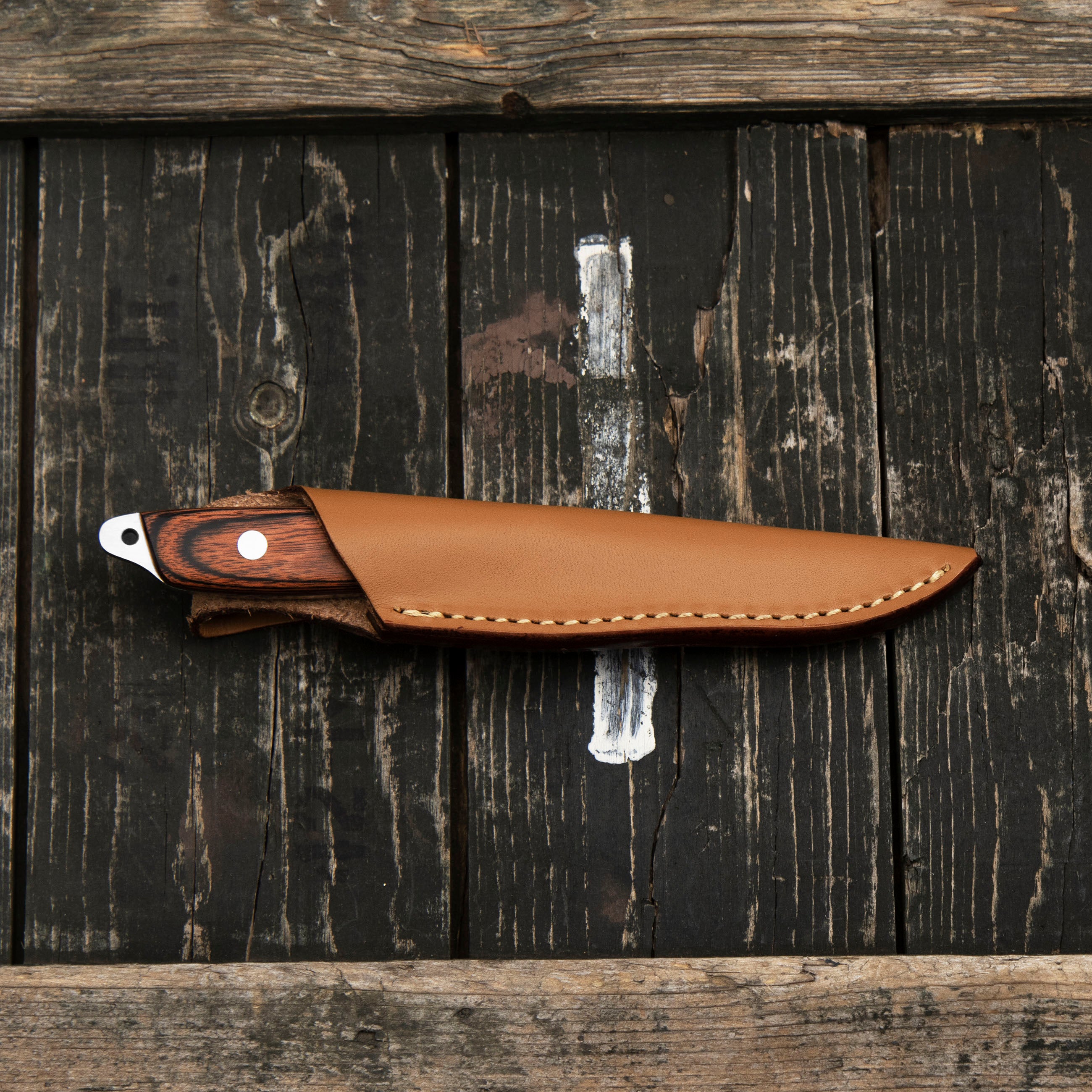 Outdoorový nůž Hattori Amago Cocobolo AUS-8 Outdoor 6,5 cm