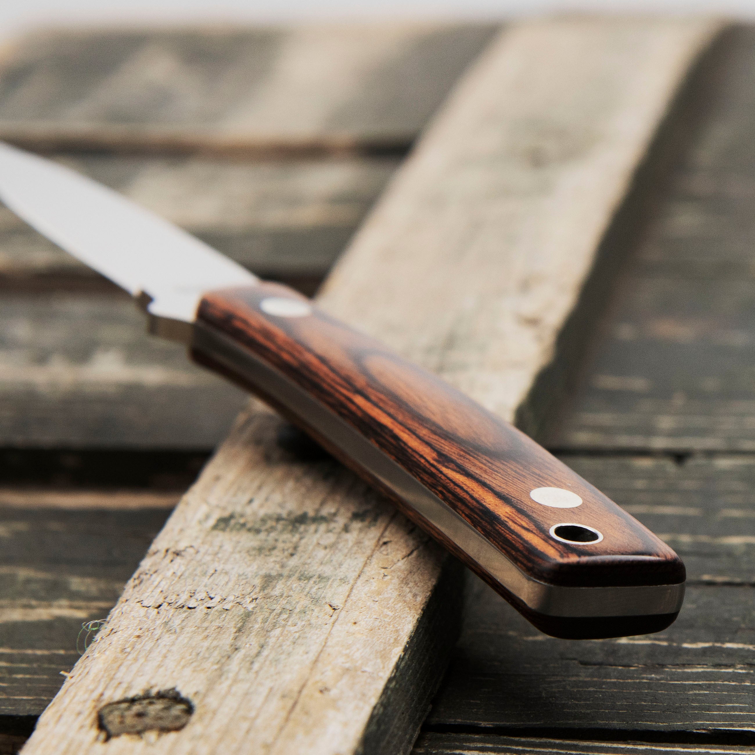 Outdoorový nůž Hattori Little Hunter VG-10 Mahogany Outdoor 6,5 cm