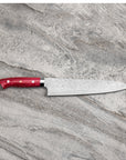 Nůž šéfkuchařský 24 cm Takeshi Saji Red Turquise R2